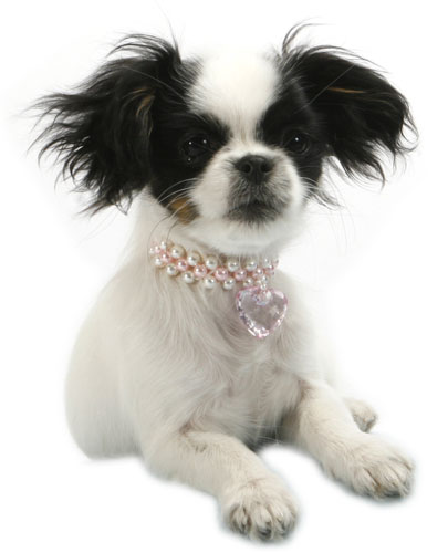 Doggydolly Hundemode, Lilly