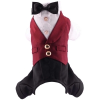 Red tuxedo 4 legs