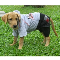Hundekombi Doggydolly grau