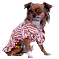 Robe brune avec papillon