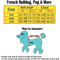 Bully Frack mit Hemd und Fliege schwarz Mops & Bulldogge
