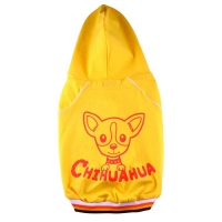 Chihuahua yellow