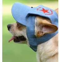 Hundecappy DD Jeans hell