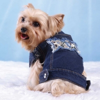 Hundejacke Jeans Rock