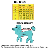 Big Dog Shirt Doggydolly grün