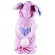 Lapin rose