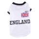 Tricot national pour chien Angleterre 2012
