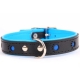 Collier cuir Patte reflecteur noir-bleu 60x2,5