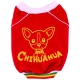 Chihuahua rouge sans capuchon